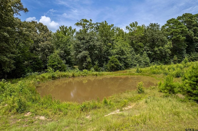 14049 Fm 757, Winona, TX 75792 - photo 34