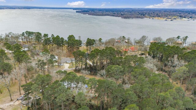 371 Shadybrook Dr, Bullard, TX 75757 - view of property location with a nearby body of water
