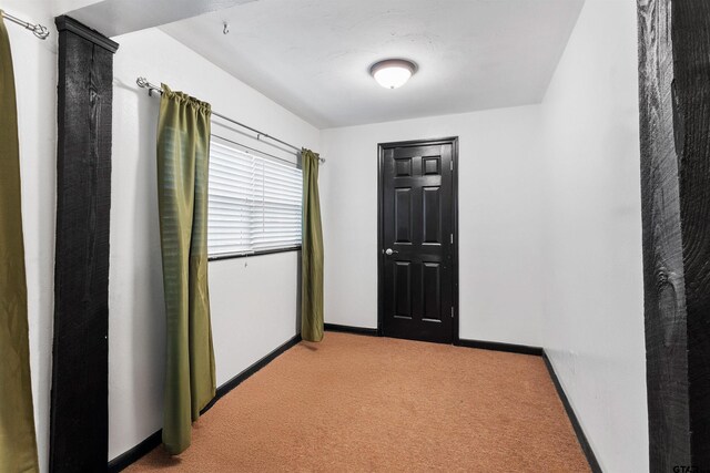 371 Shadybrook Dr, Bullard, TX 75757 - corridor with light colored carpet and baseboards