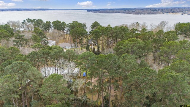 371 Shadybrook Dr, Bullard, TX 75757 - aerial view of property and surrounding area featuring a nearby body of water