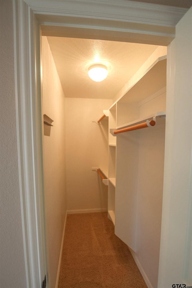 walk in closet with light colored carpet