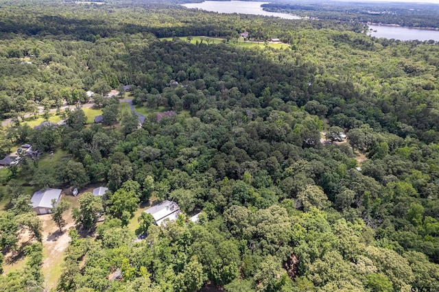 14677 County Road 2337, Tyler, TX 75707 - drone / aerial view of a forest and a nearby body of water