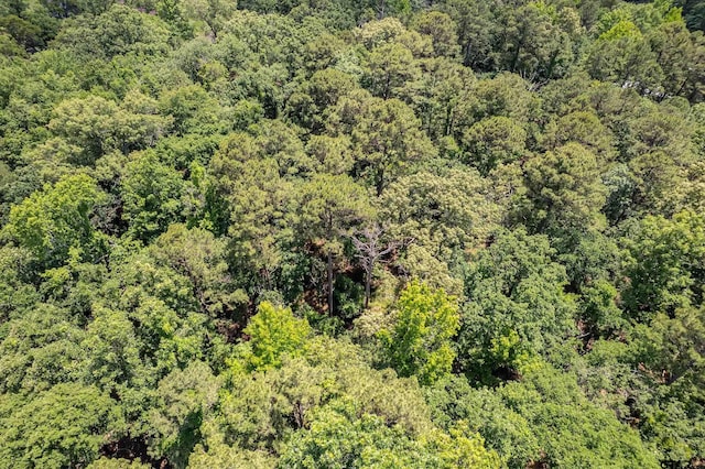 14677 County Road 2337, Tyler, TX 75707 - bird's eye view of a forest