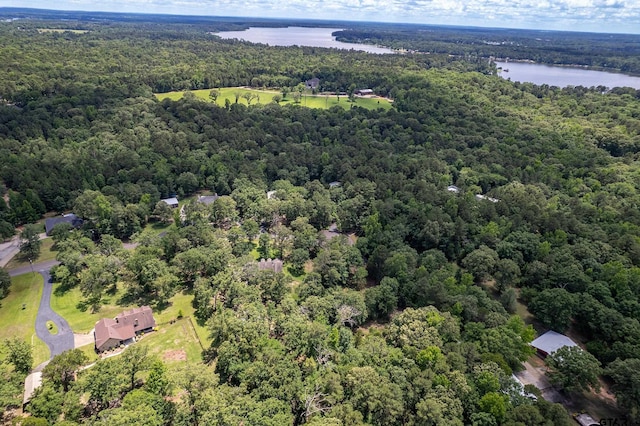14677 County Road 2337, Tyler, TX 75707 - bird's eye view of a heavily wooded area and a large body of water