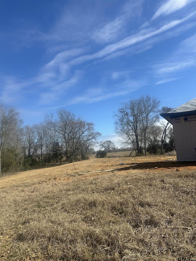 view of yard with a rural view