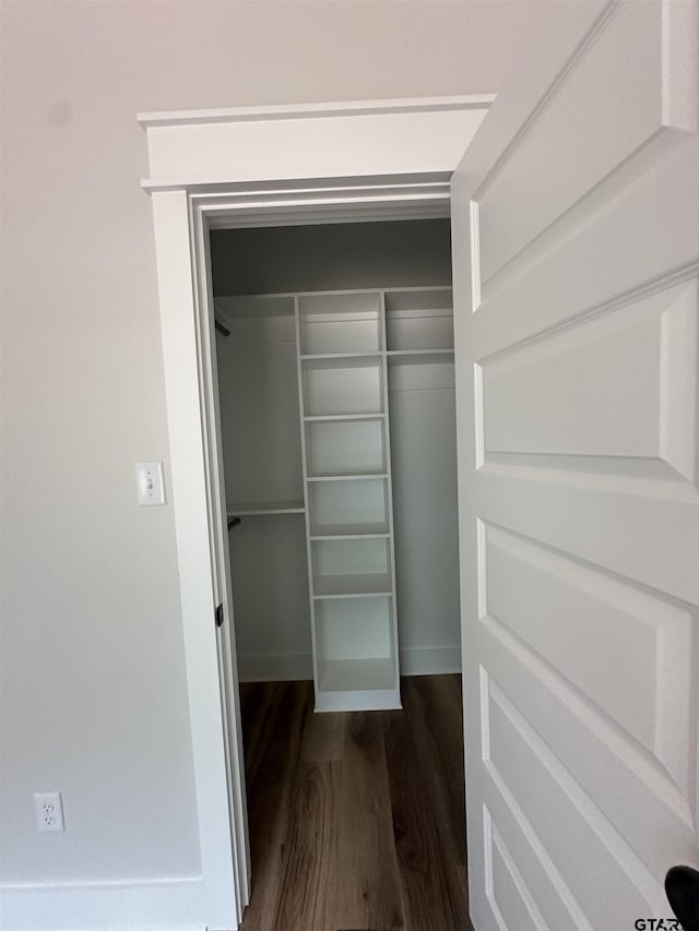 spacious closet featuring dark wood finished floors