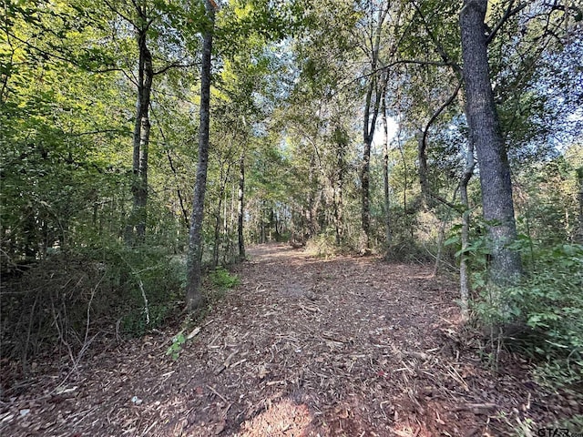 Listing photo 3 for 1STTRACT10AC Fm 852, Gilmer TX 75644