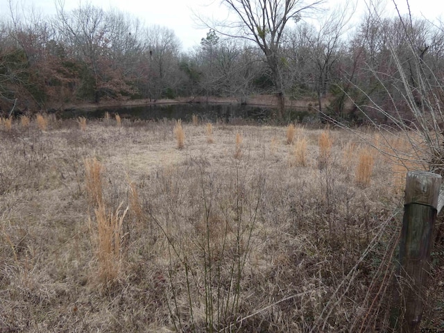 view of local wilderness