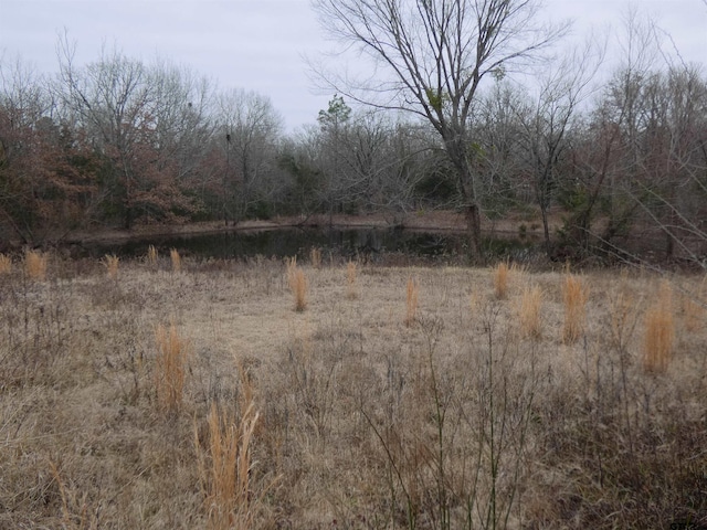 view of nature