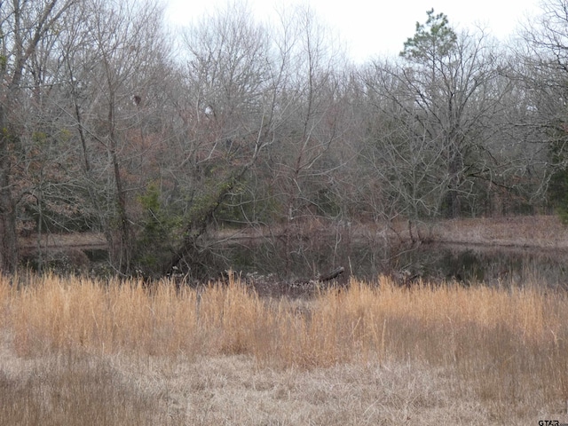 view of landscape