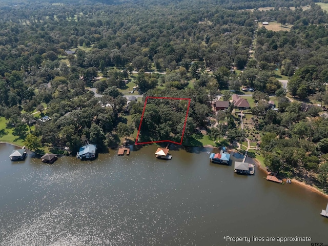 bird's eye view featuring a water view