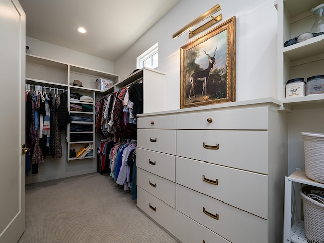 spacious closet featuring light colored carpet