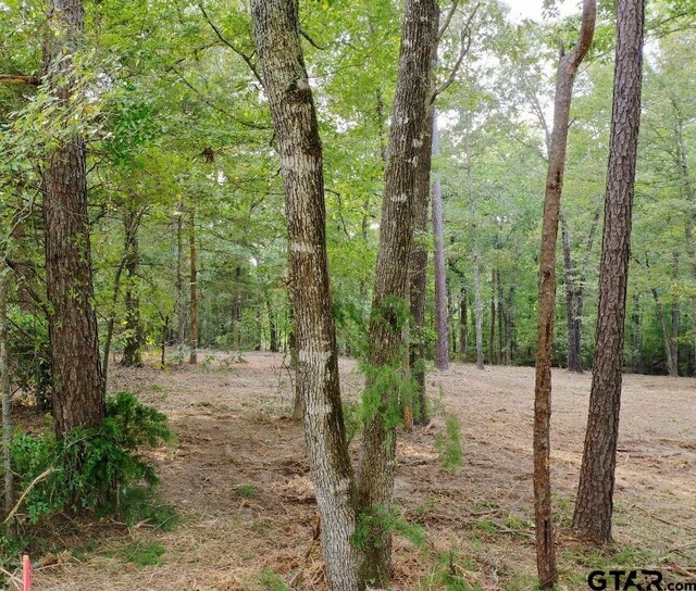 20381 Fm 16, Winona, TX 75792