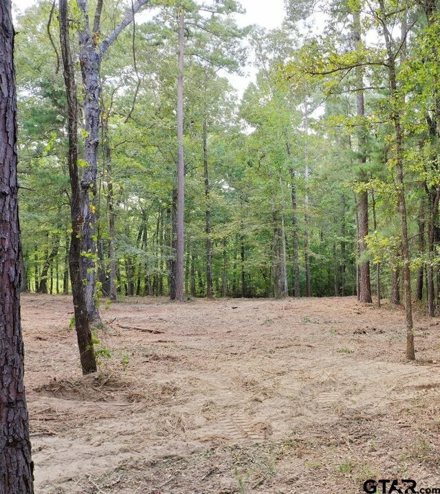 20381 Fm 16, Winona, TX 75792