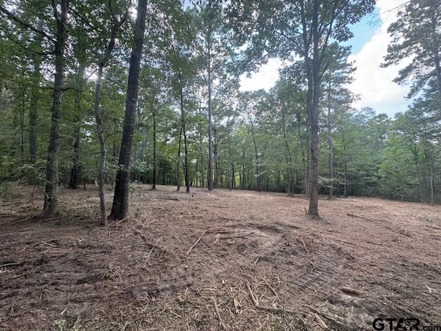 20381 Fm 16, Winona, TX 75792