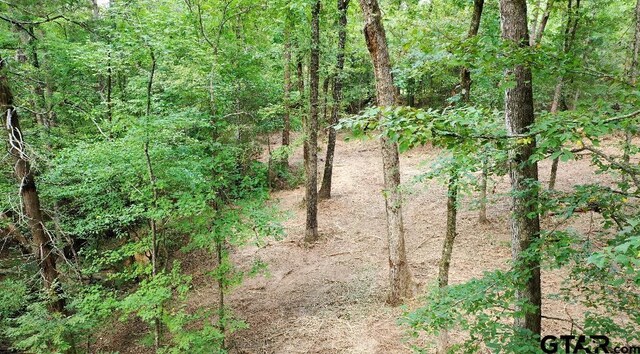 20381 Fm 16, Winona, TX 75792