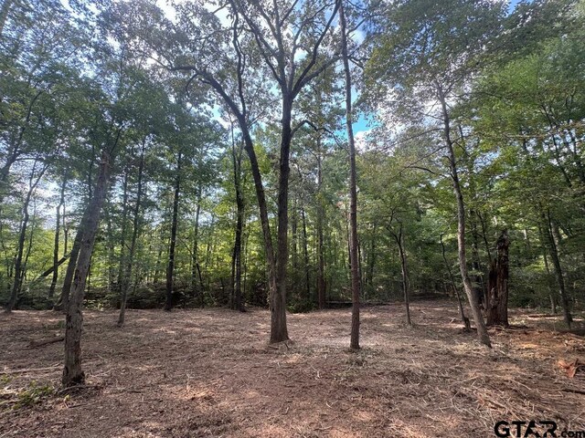20381 Fm 16, Winona, TX 75792