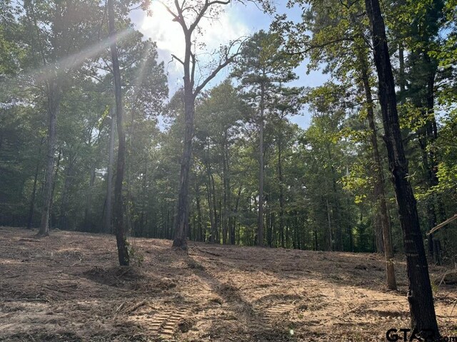 20381 Fm 16, Winona, TX 75792