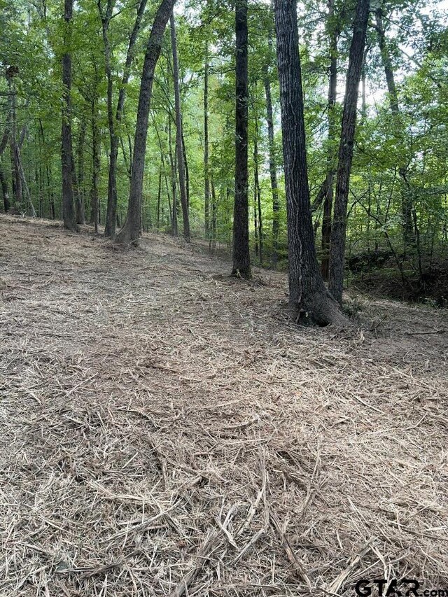 20381 Fm 16, Winona, TX 75792