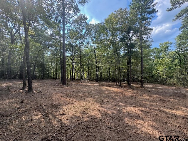 20381 Fm 16, Winona TX, 75792 land for sale