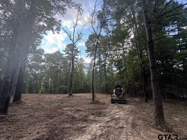 20381 Fm 16, Winona, TX 75792