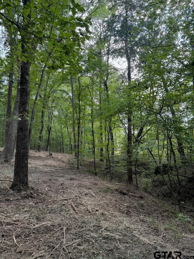 20381 Fm 16, Winona, TX 75792