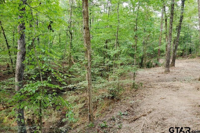 20381 Fm 16, Winona, TX 75792