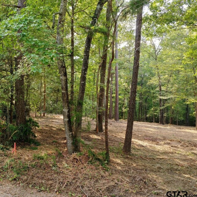 20381 Fm 16, Winona, TX 75792