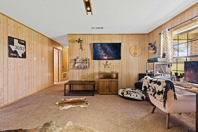 10929 County Road 41, Tyler, TX 75706 - office area with wood walls, carpet, a textured ceiling, and ornamental molding