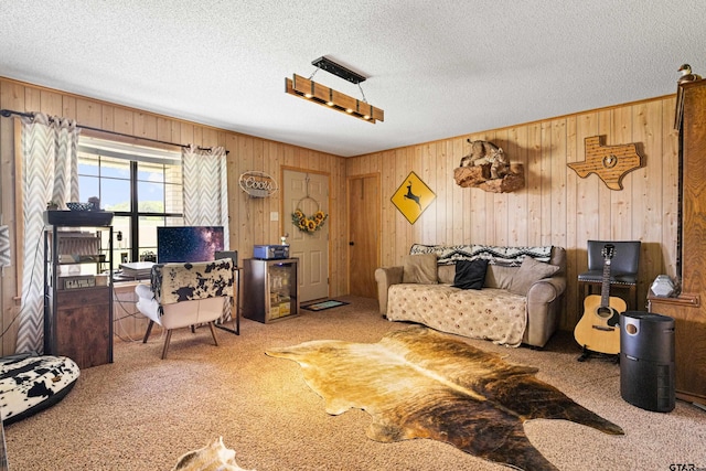 10929 County Road 41, Tyler, TX 75706 - carpeted living area with wood walls and a textured ceiling