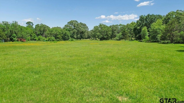 3268 Farm Rd Unit 1487, Bogata, TX 75417 - view of grassy yard with a view of rural / pastoral area and a forest view