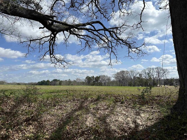 TBDLOT1 County Road 401, Henderson, TX 75654 - photo 4
