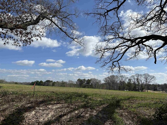 TBDLOT1 County Road 401, Henderson, TX 75654 - photo 6