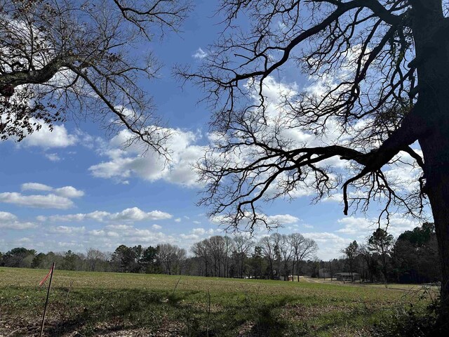 TBDLOT1 County Road 401, Henderson, TX 75654 - photo 5