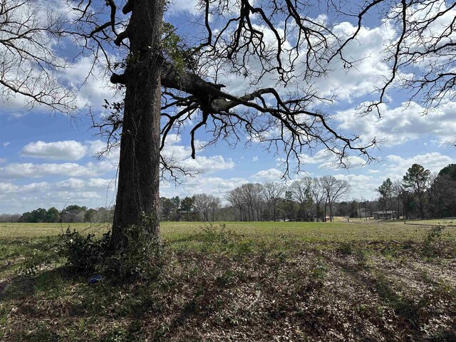 TBDLOT1 County Road 401, Henderson, TX 75654 - photo 3