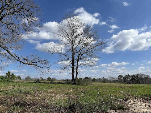 TBDLOT1 County Road 401, Henderson, TX 75654 - photo 1