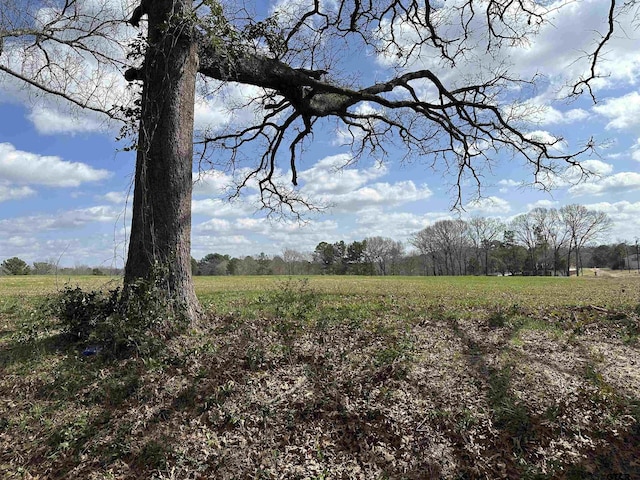 TBDLOT1 County Road 401, Henderson, TX 75654 - photo 2