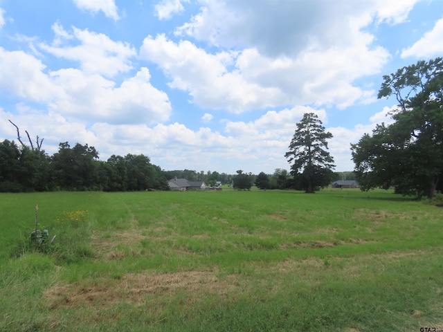 544 Vz County Road 4816, Ben Wheeler TX, 75754 land for sale