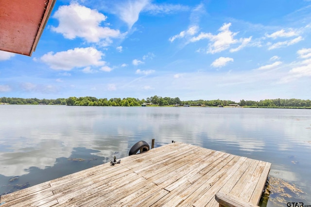 12051 W Lake Dr, Murchison, TX 75778 - photo 32