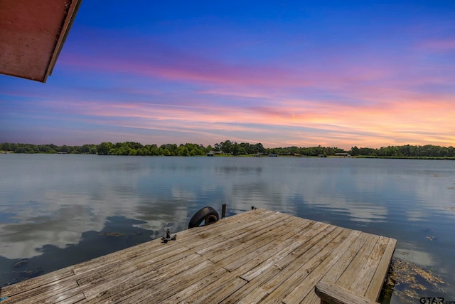 12051 W Lake Dr, Murchison, TX 75778 - photo 33