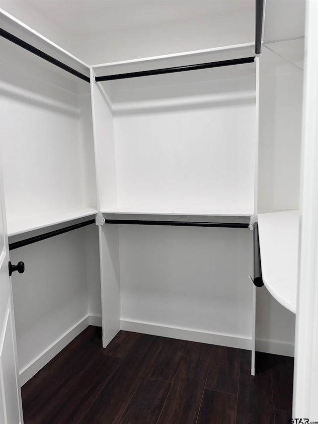 spacious closet featuring dark wood-style floors