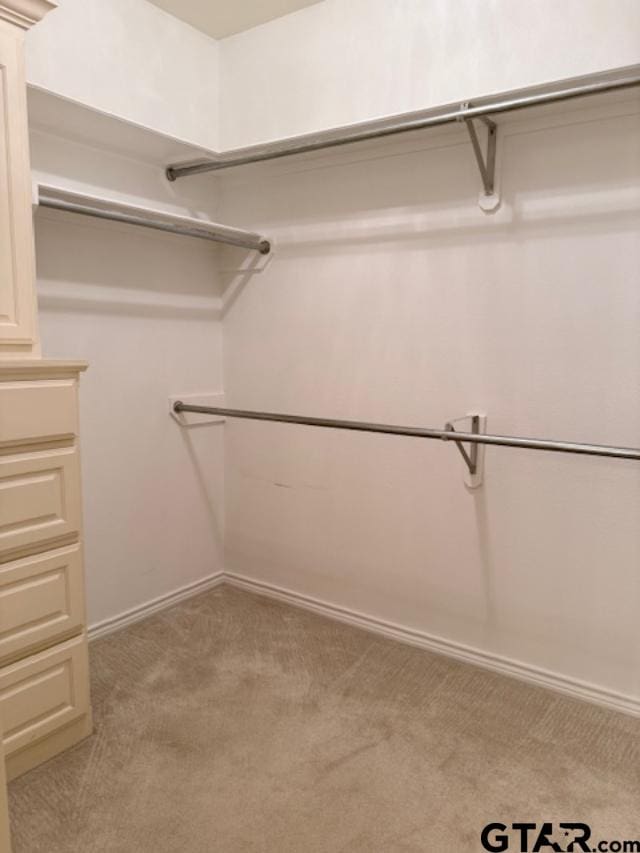 walk in closet featuring light colored carpet