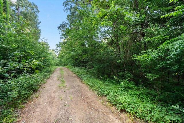 812 Crescent Dr, Bullard, TX 75757 - photo 11