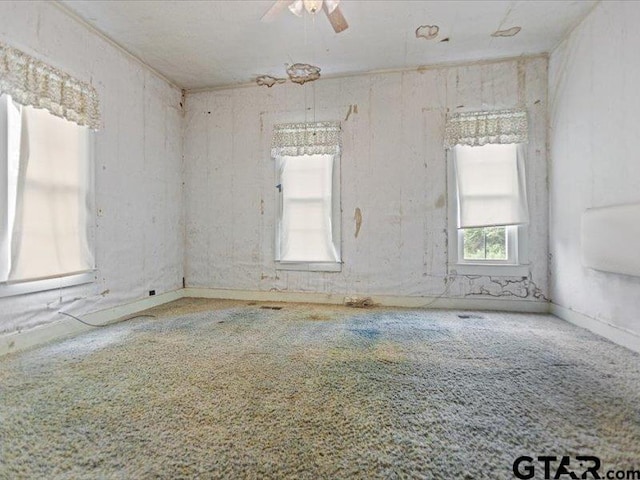 unfurnished room with ceiling fan and carpet