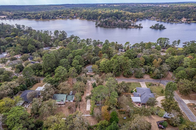 bird's eye view featuring a forest view and a water view