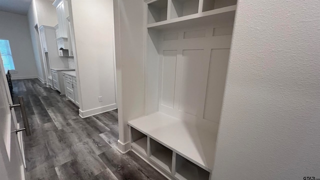 mudroom featuring dark hardwood / wood-style floors