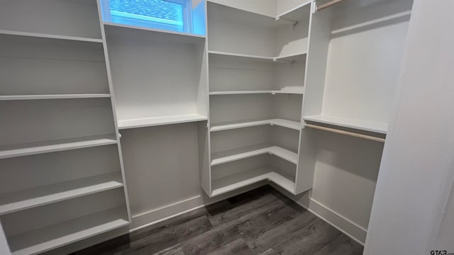 walk in closet with dark hardwood / wood-style flooring