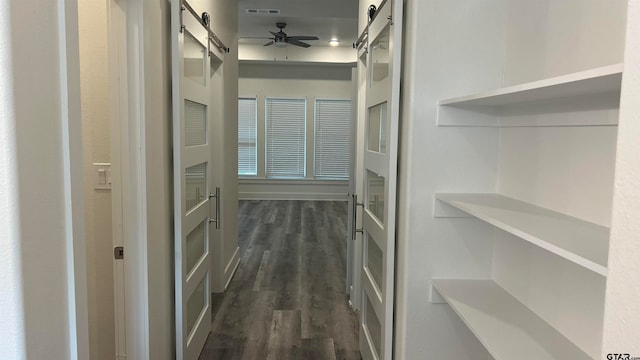 spacious closet featuring a barn door, ceiling fan, and dark wood-type flooring