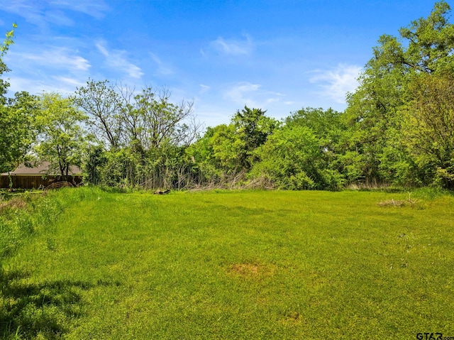 924 Kaufman St, Mount Vernon, TX 75457 - view of yard