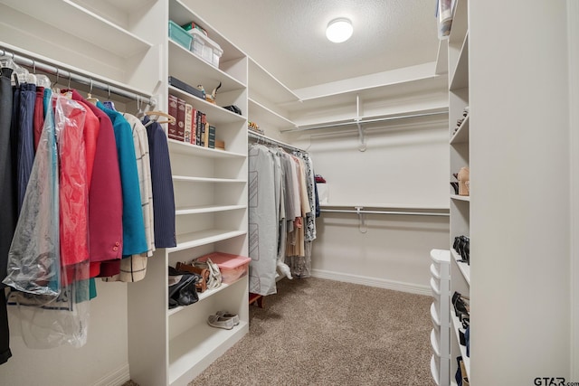 walk in closet with carpet flooring